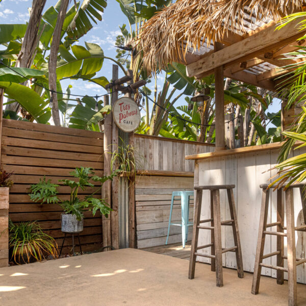 Beach Baja bar Café with decorative wood wall, thatch roof and barstools at Tropic Shots production set