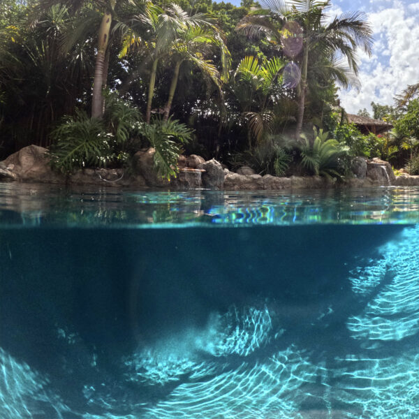Over under shot of lagoon pool with waterfalls and palms above the water and underwater shadows and crystal clear blue water reflections at Tropic Shots production set