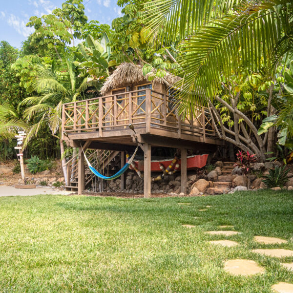 Angle view of tropical treehouse with dense jungle foliage in background and walking path in foreground at Tropic Shots production set